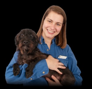 buying darknet drugs