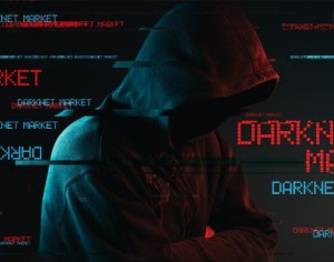 how to use dark web