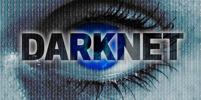 darknet market search