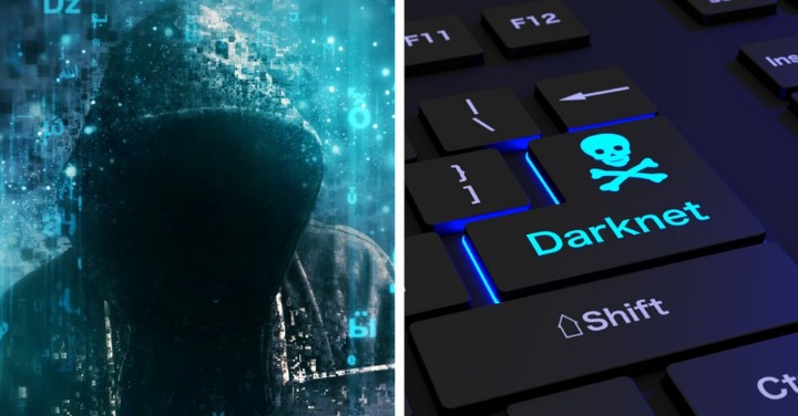 darknet market search engine