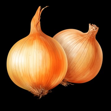 onion links