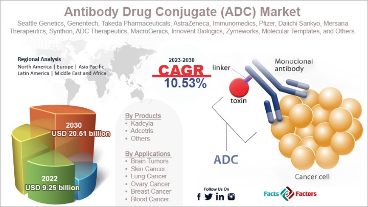 drug market