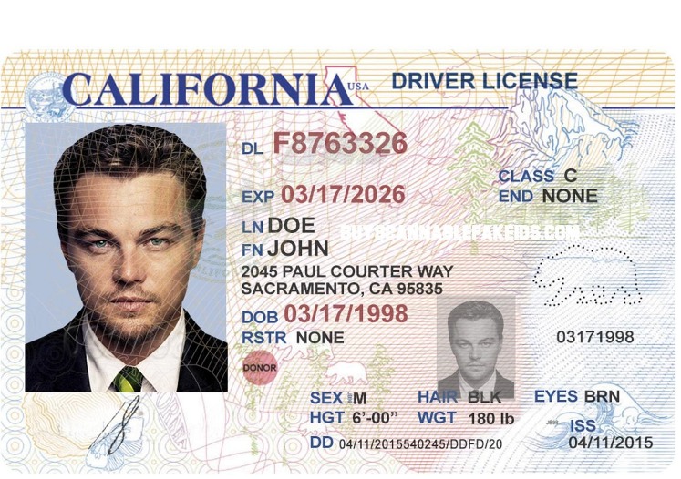 fake id onion