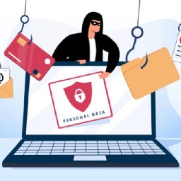 reddit best darknet market
