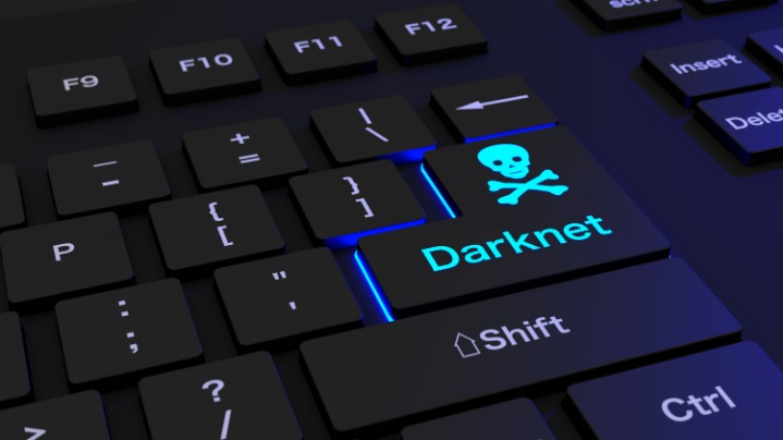 darknet database market