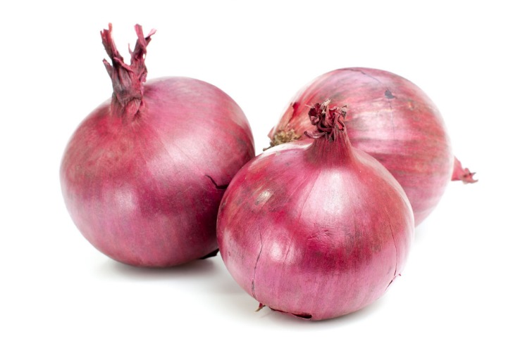 .onion dark web